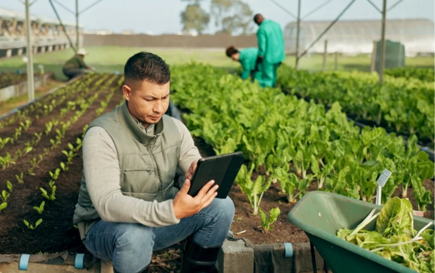 Expertise Across Industries